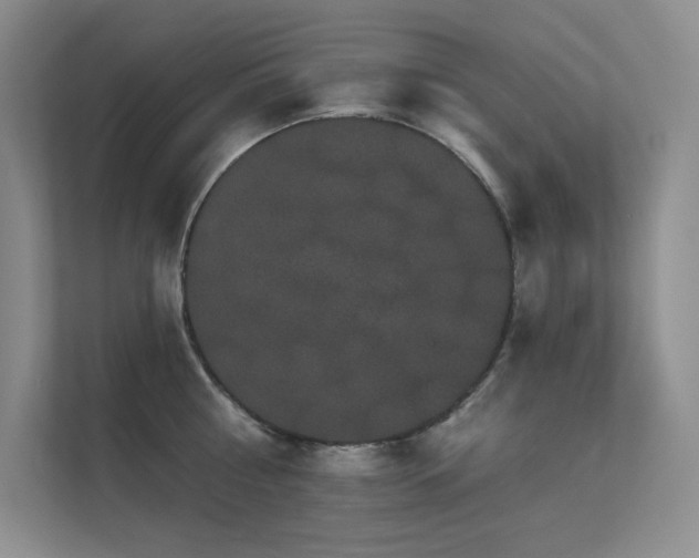 X0000112430810200908141430