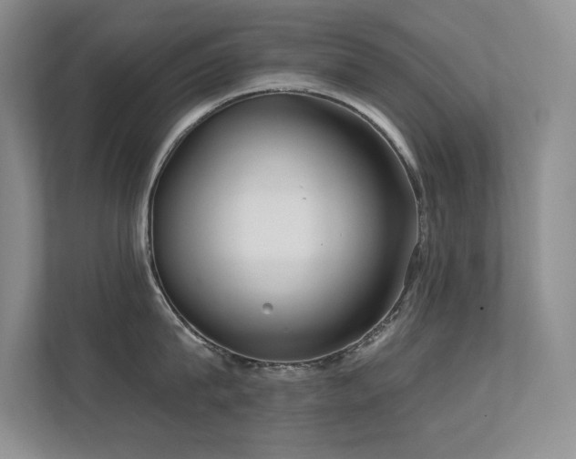 X0000112430815200908141430