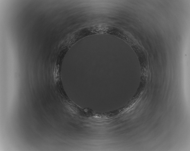 X0000112430818200908141429