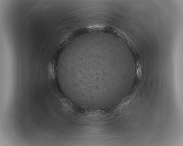 X0000112430819200908141429