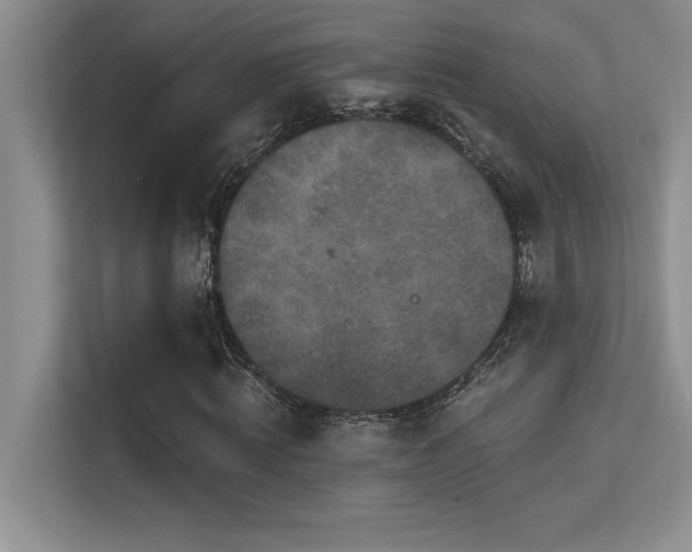 X0000112430820200908141429