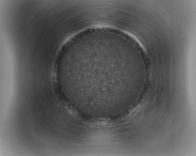 X0000112430823200908141429