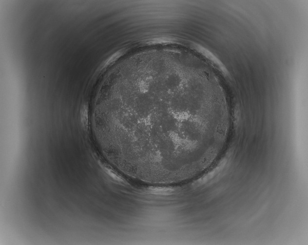X0000112430825200908141429