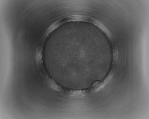 X0000112430826200908141429