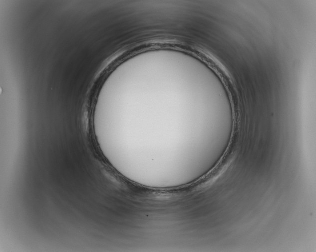 X0000112430829200908141429