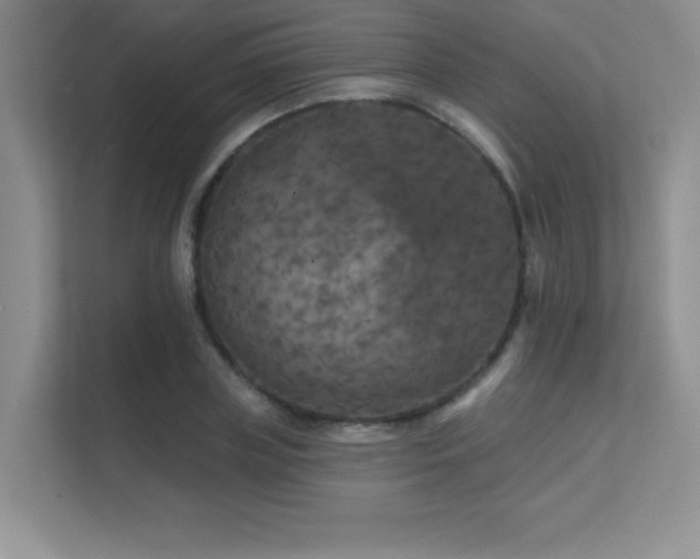 X0000112430835200908141429