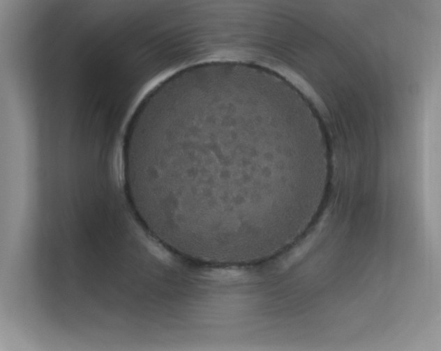 X0000112430838200908141429