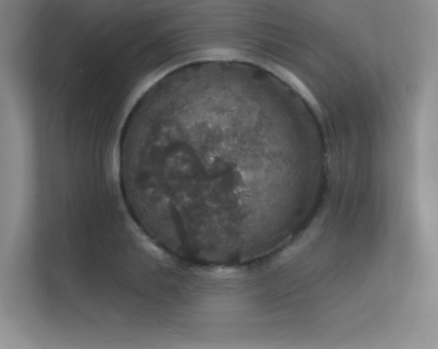 X0000112430839200908141429