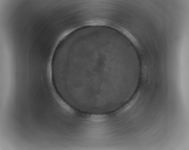 X0000112430840200908141429