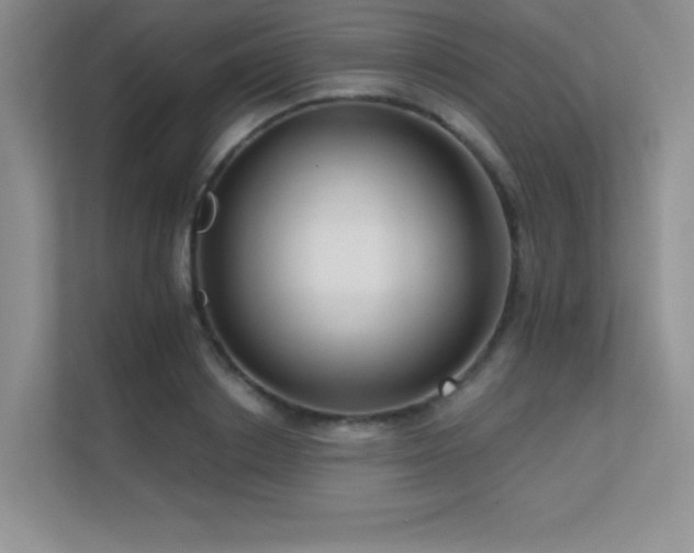 X0000112430842200908141429