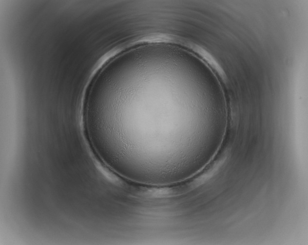 X0000112430845200908141429