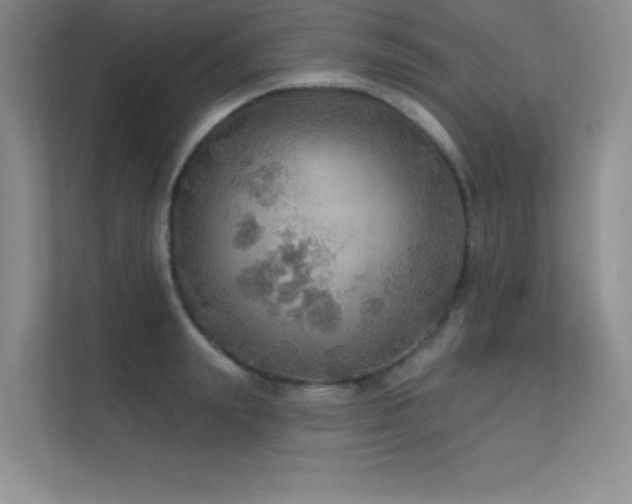 X0000112430847200908141429