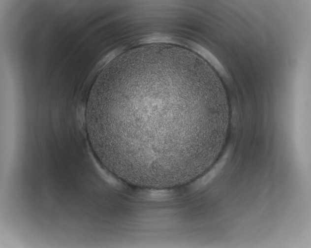X0000112430849200908141429