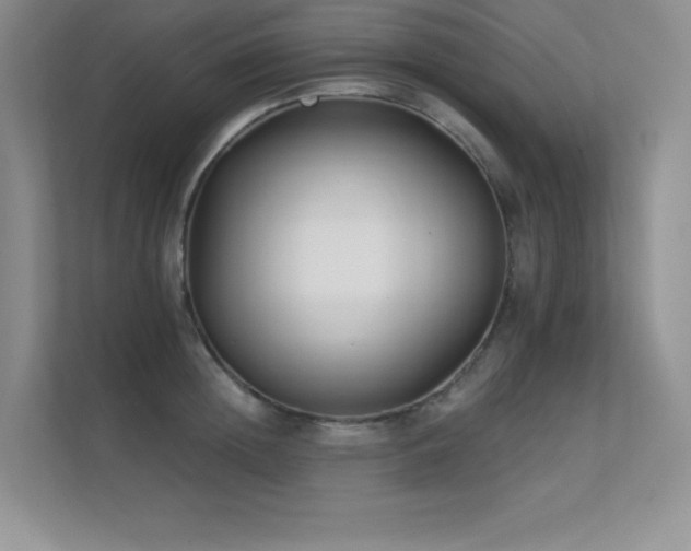X0000112430852200908141429