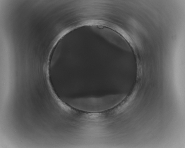 X0000112430853200908141429