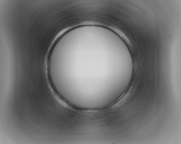 X0000112430854200908141429