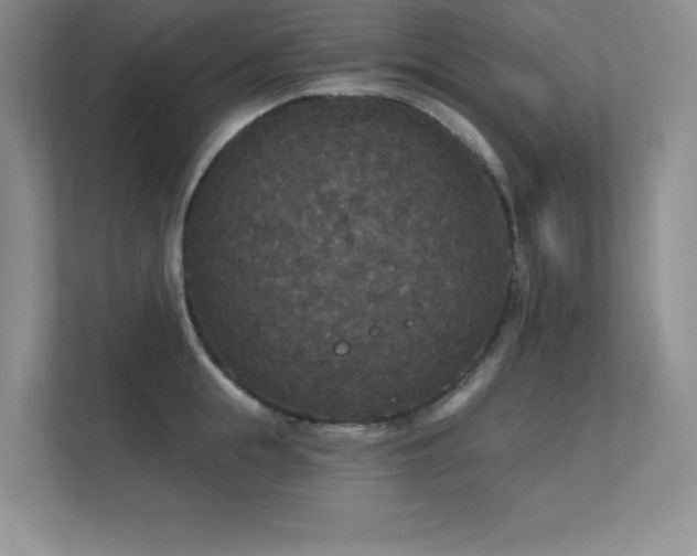X0000112430855200908141429