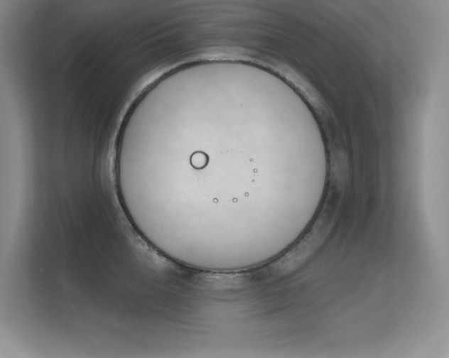 X0000112430856200908141429