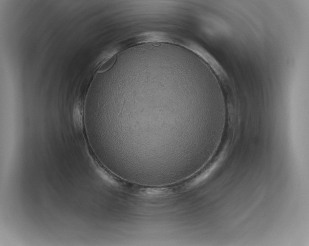 X0000112430857200908141429