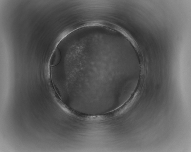 X0000112430858200908141429