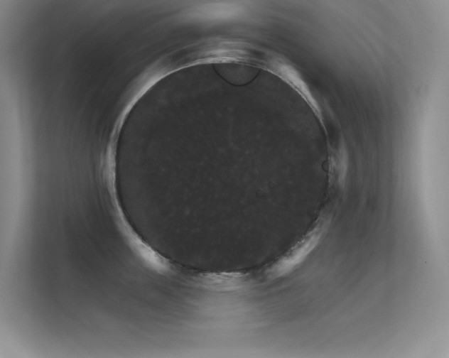 X0000112430859200908141429