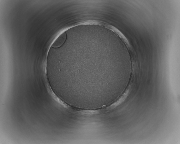X0000112430860200908141429