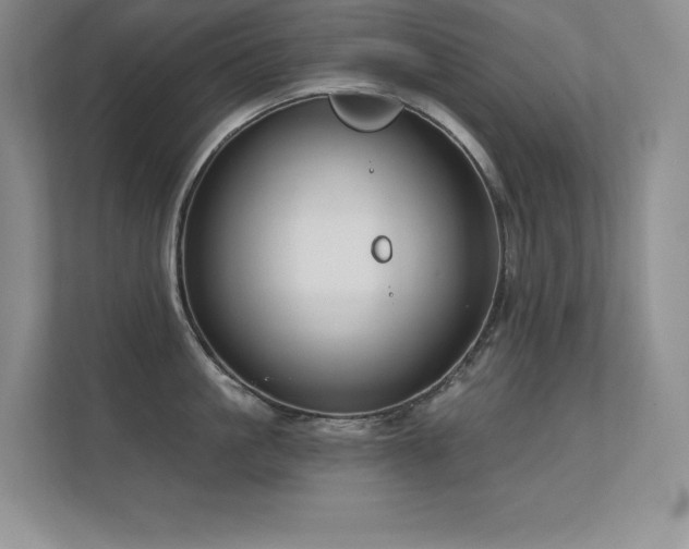 X0000112430861200908141429