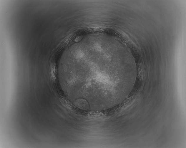X0000112430866200908141429