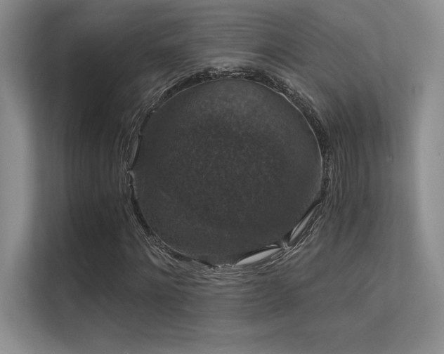 X0000112430868200908141429