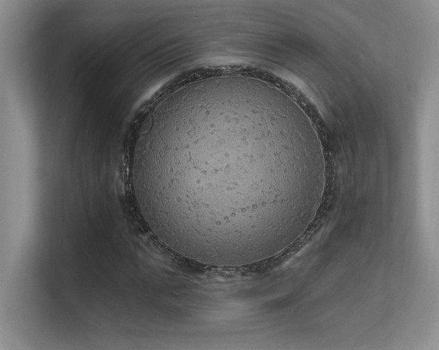 X0000112430871200908141429