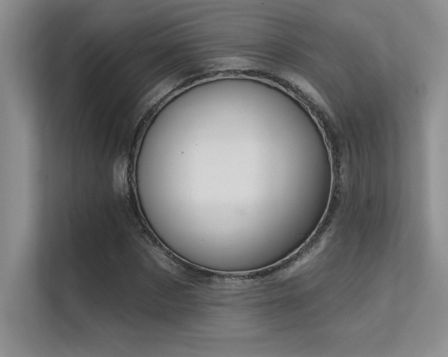 X0000112430873200908141429