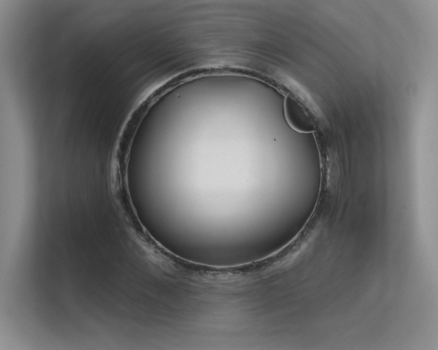 X0000112430876200908141429
