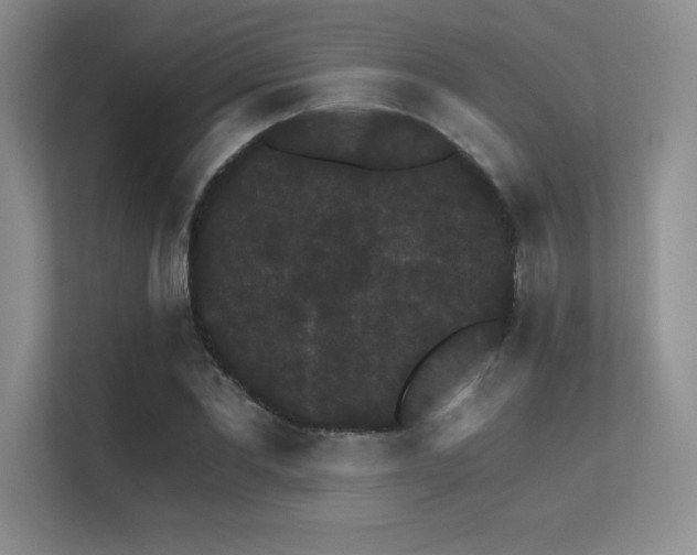 X0000112430877200908141429