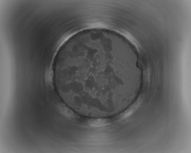 X0000112430879200908141429