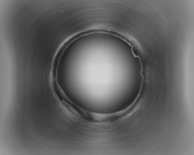 X0000112430880200908141429