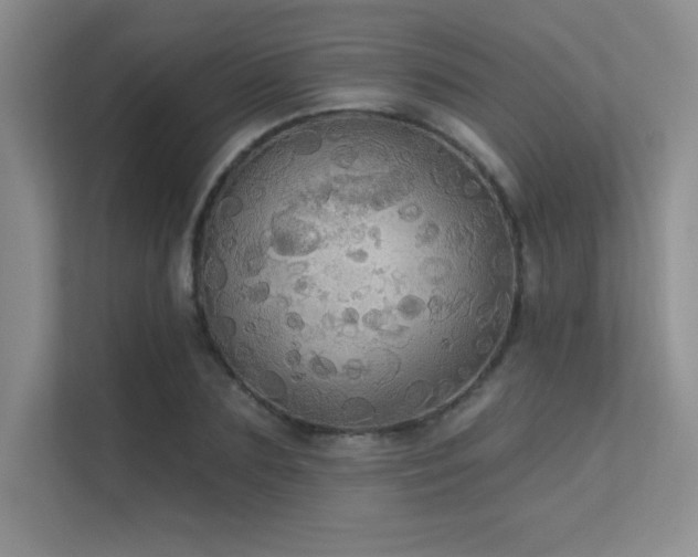 X0000112430883200908141429