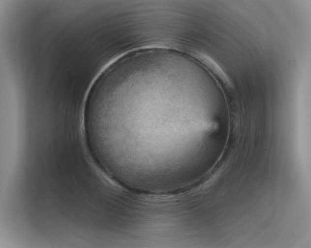 X0000112430884200908141429