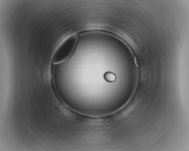 X0000112430885200908141429