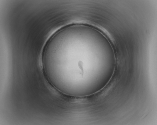 X0000112430887200908141429
