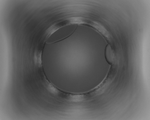 X0000112430889200908141429