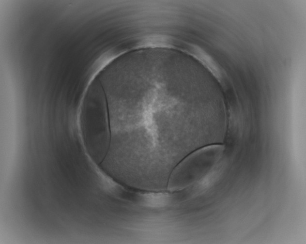 X0000112430893200908141429