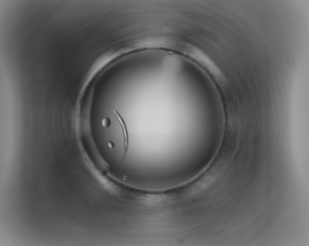X0000112430894200908141428