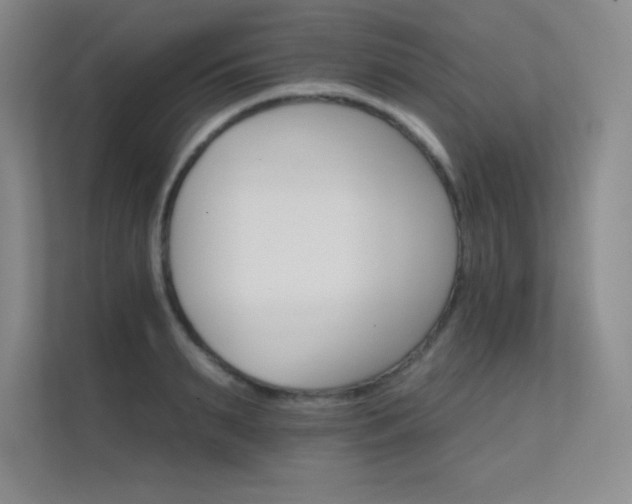 X0000112430895200908141428