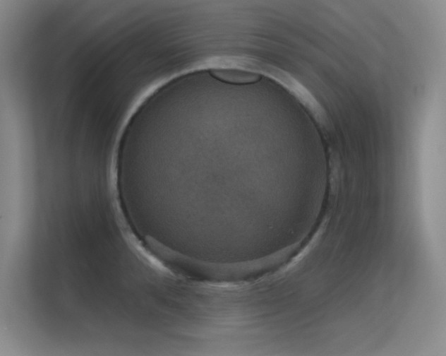 X0000112430896200908141428
