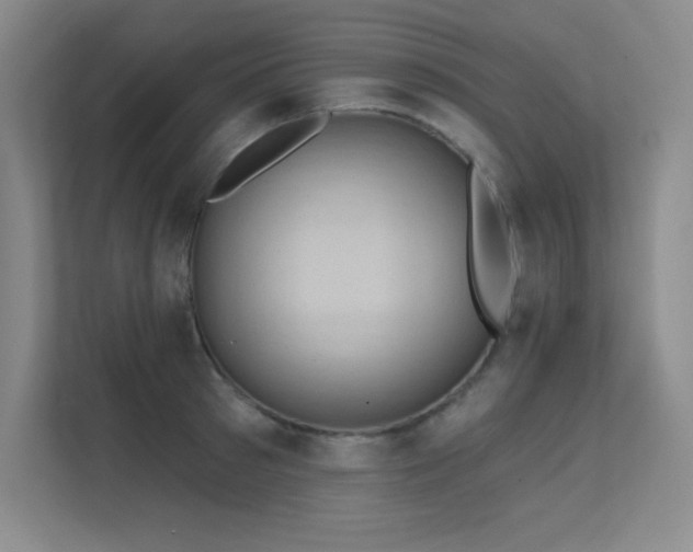 X0000112430897200908141428