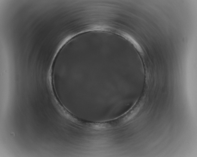 X0000112430899200908141428