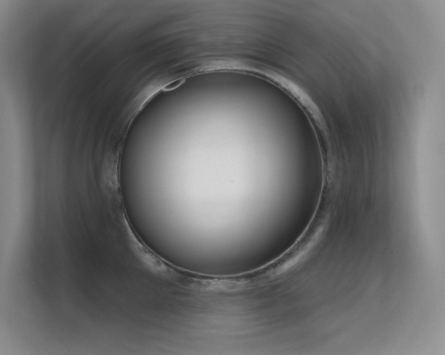 X0000112430905200908141428