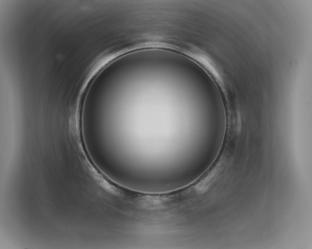 X0000112430910200908141428