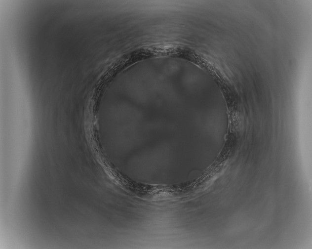 X0000112430913200908141428