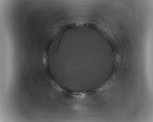 X0000112430914200908141428